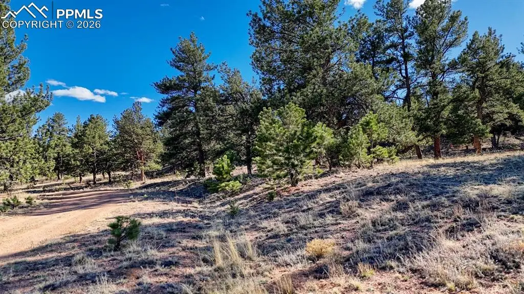 Lot 5124 Arikara Trail, Hartsel, CO 80449 - #1