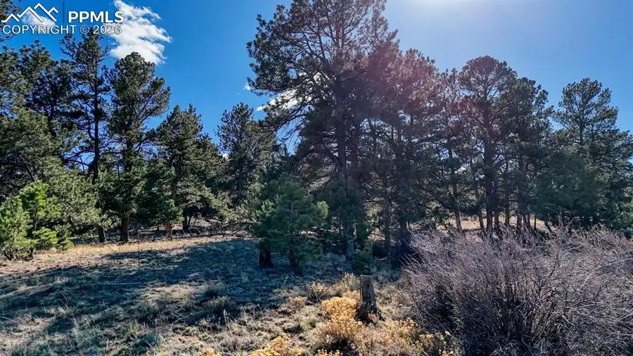 Lot 5124 Arikara Trail, Hartsel, CO 80449 - #2