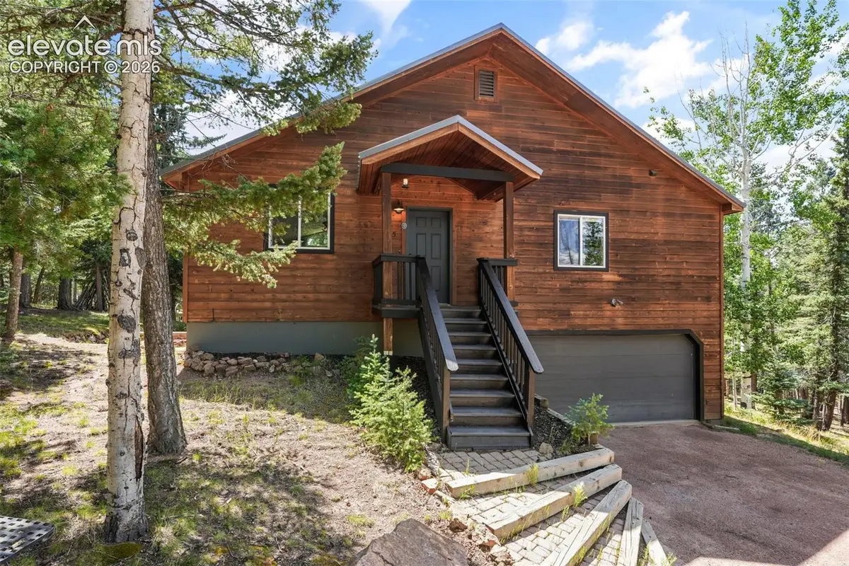 145 Grizzley Peak Road, Florissant, CO 80816 - #1