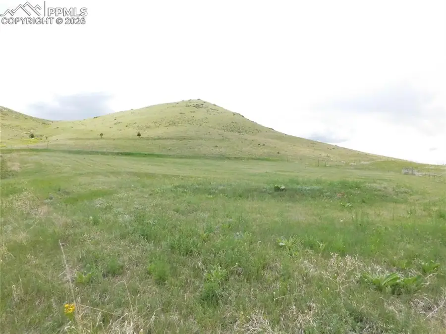 11972 Haskel Creek Road, Larkspur, CO 80118 - #2