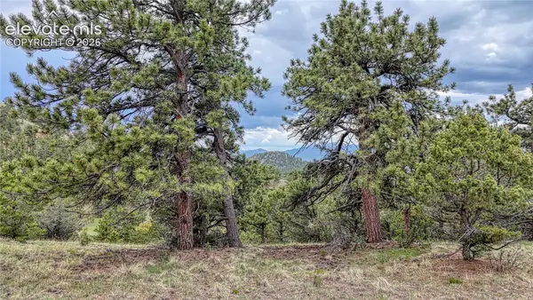 44 Honeysuckle Terrace, Westcliffe, CO 81252