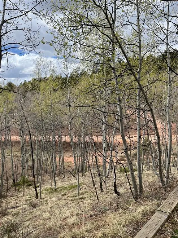646 Grey Eagle Drive, Cripple Creek, CO 80813 - Image #3