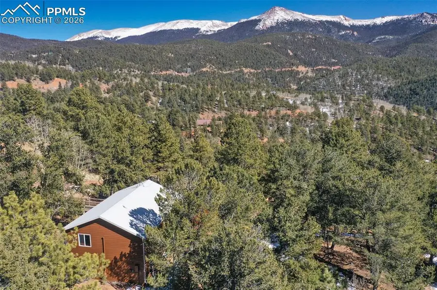 493 Horseshoe Drive, Divide, CO 80814 - #2