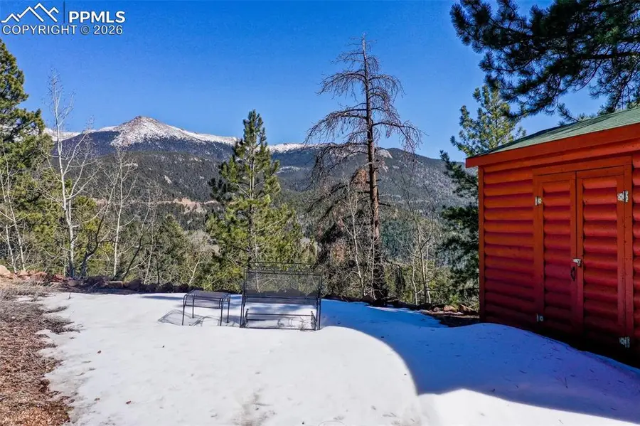 493 Horseshoe Drive, Divide, CO 80814 - #3