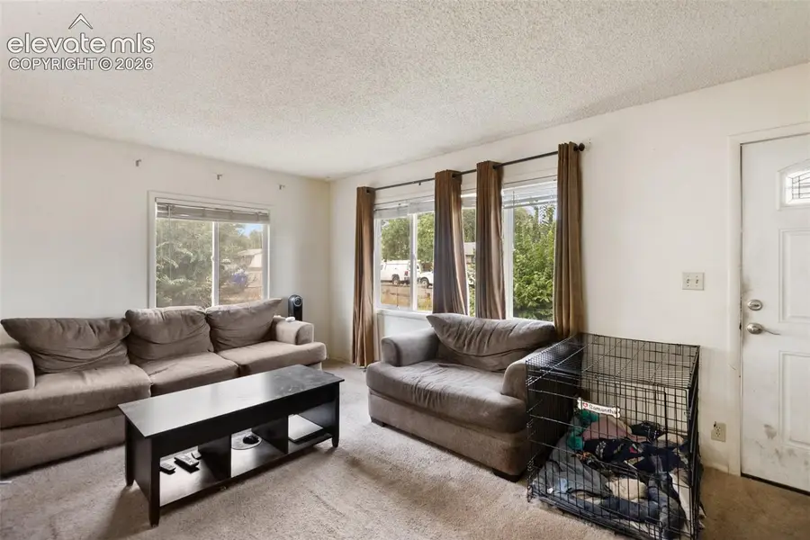 1205 Pando Avenue, Colorado Springs, CO 80905 - #3