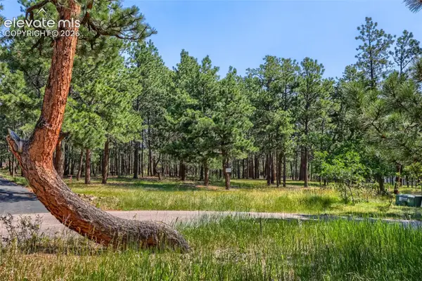 19420 Glencannon Way, Monument, CO 80132