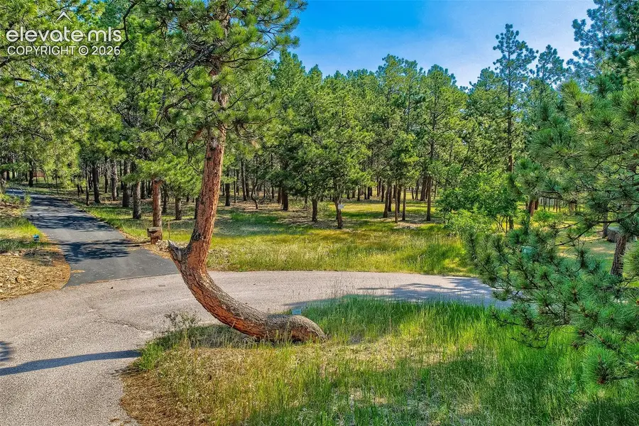 19420 Glencannon Way, Monument, CO 80132 - #2