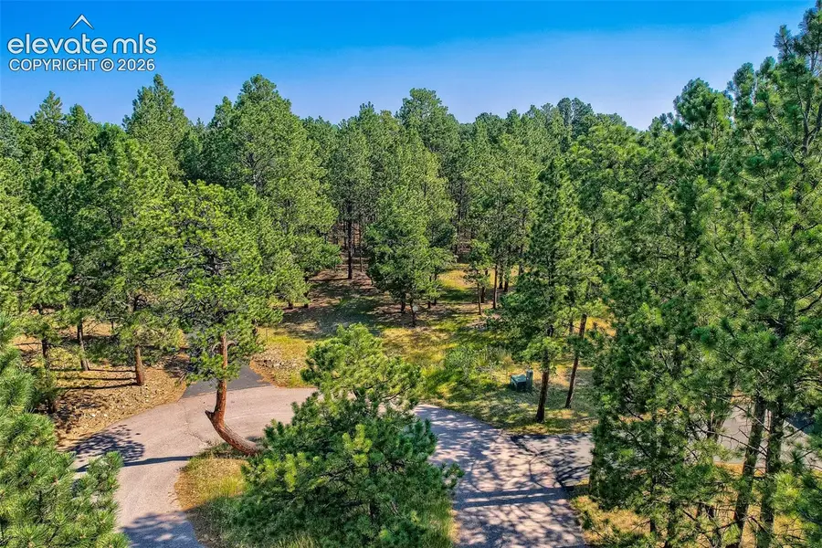 19420 Glencannon Way, Monument, CO 80132 - #3