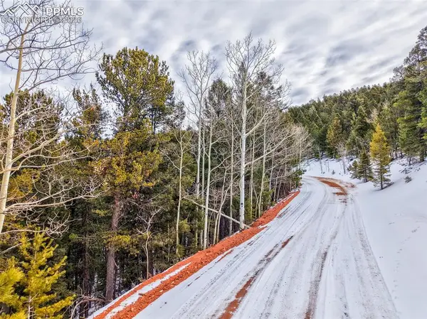 165 Witherite Drive, Divide, CO 80814