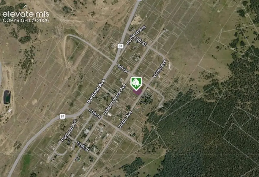 909 Victor Avenue, Victor, CO 80860 - #3