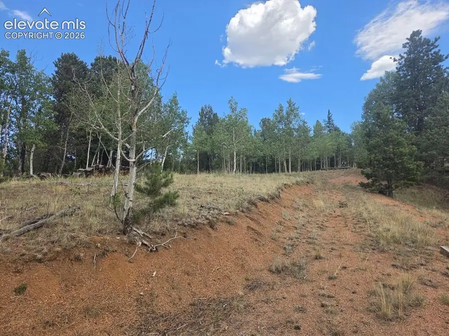 1124 Yorktown Road, Cripple Creek, CO 80813 - #3