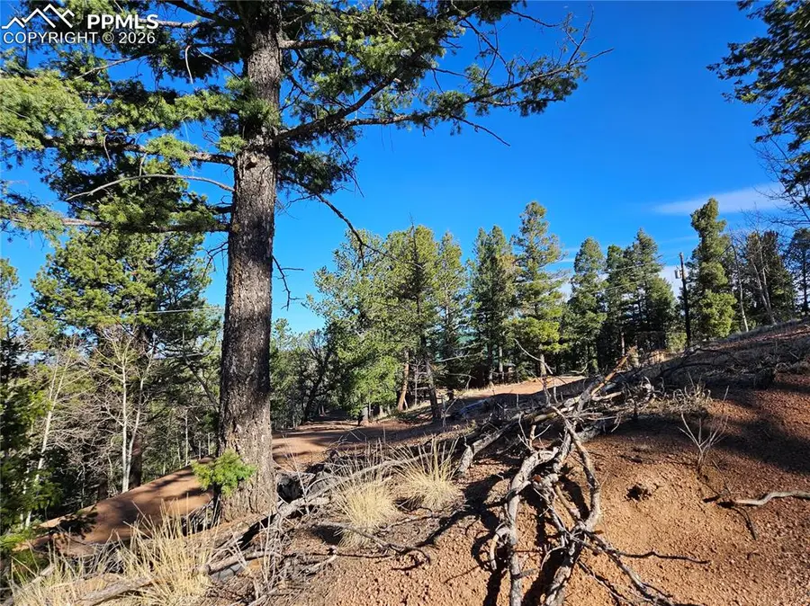 652 Derby Drive, Cripple Creek, CO 80813 - #2