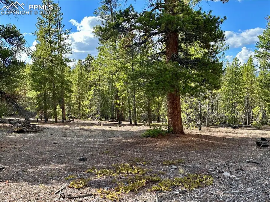 143 Fir Drive, Leadville, CO 80461 - #2