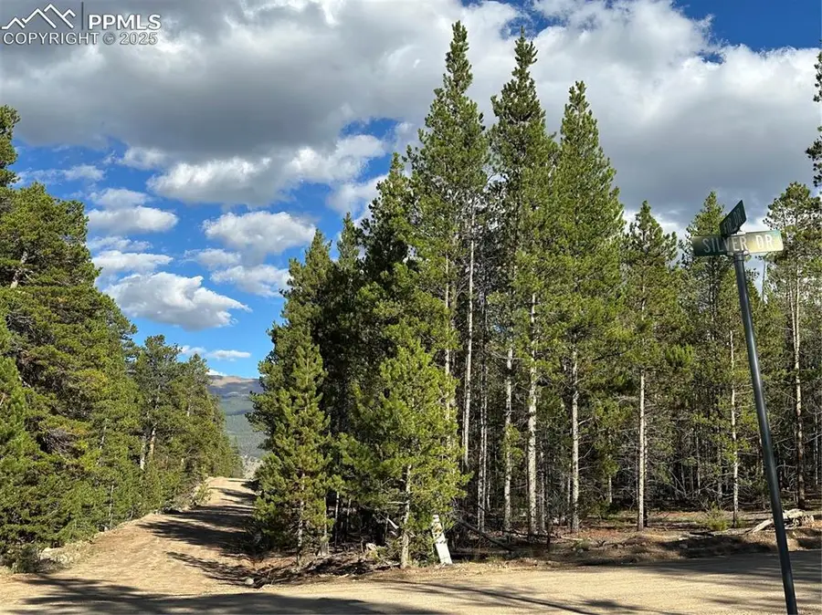 143 Fir Drive, Leadville, CO 80461 - #3
