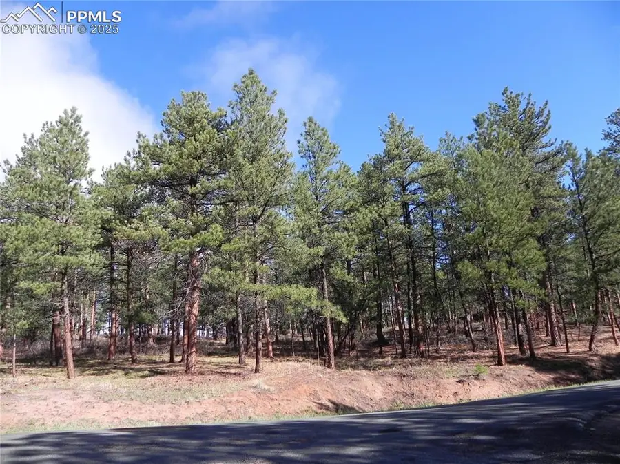 4467 Delaware Drive, Larkspur, CO 80118 - Image #2