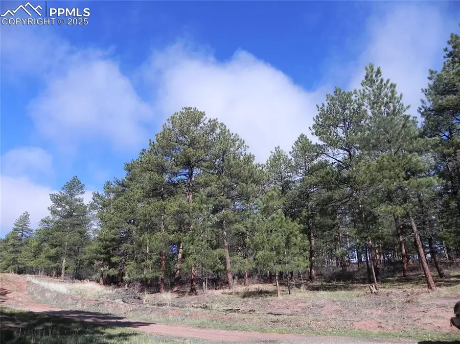 4467 Delaware Drive, Larkspur, CO 80118 - Image #3