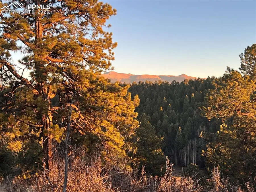 4687 W Highway 24, Florissant, CO 80816 - Image #2