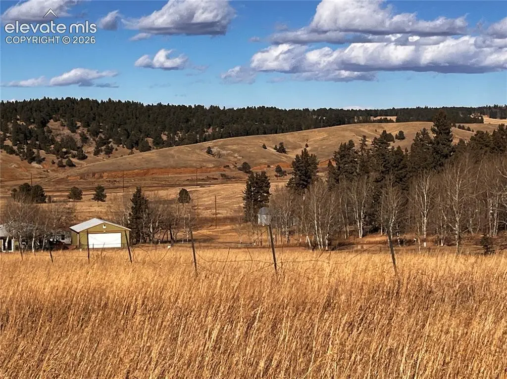 216 Will Scarlet Drive, Divide, CO 80814 - #1