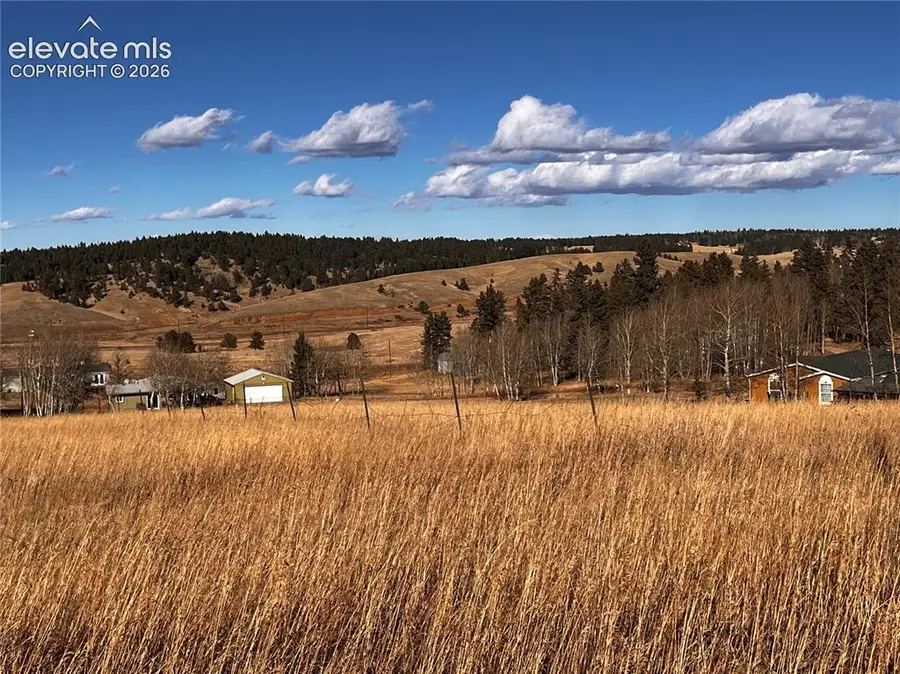 216 Will Scarlet Drive, Divide, CO 80814 - #2