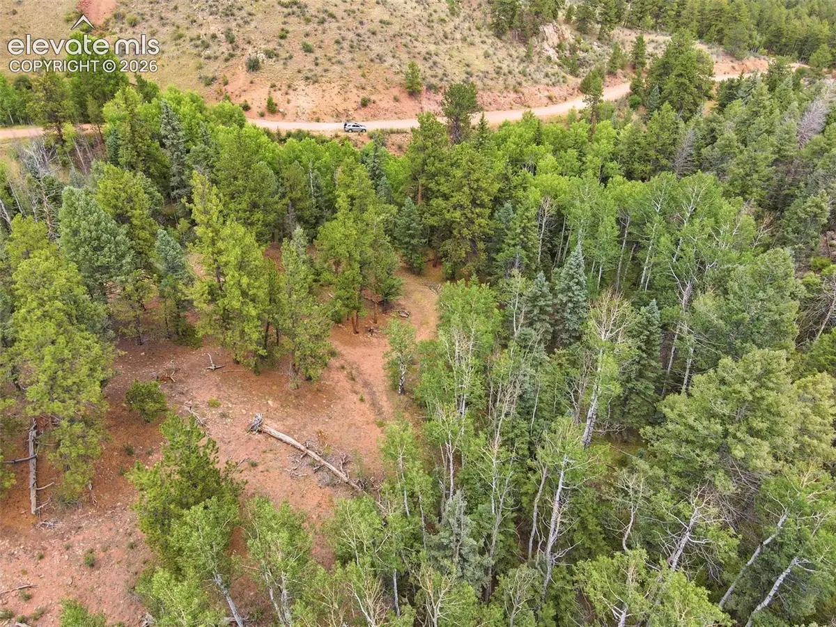 1310 Park Ridge Drive, Guffey, CO 80820 - #1