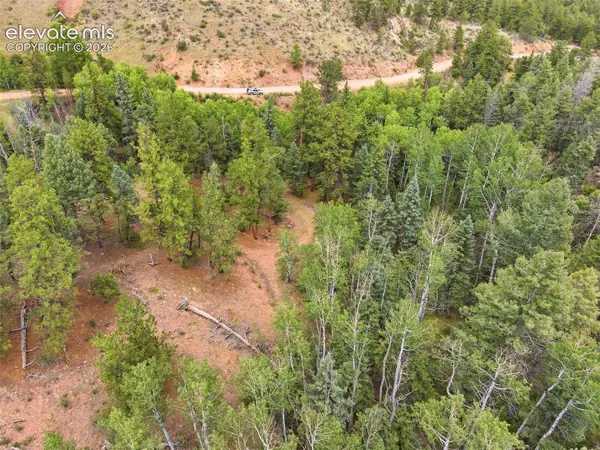 1310 Park Ridge Drive, Guffey, CO 80820