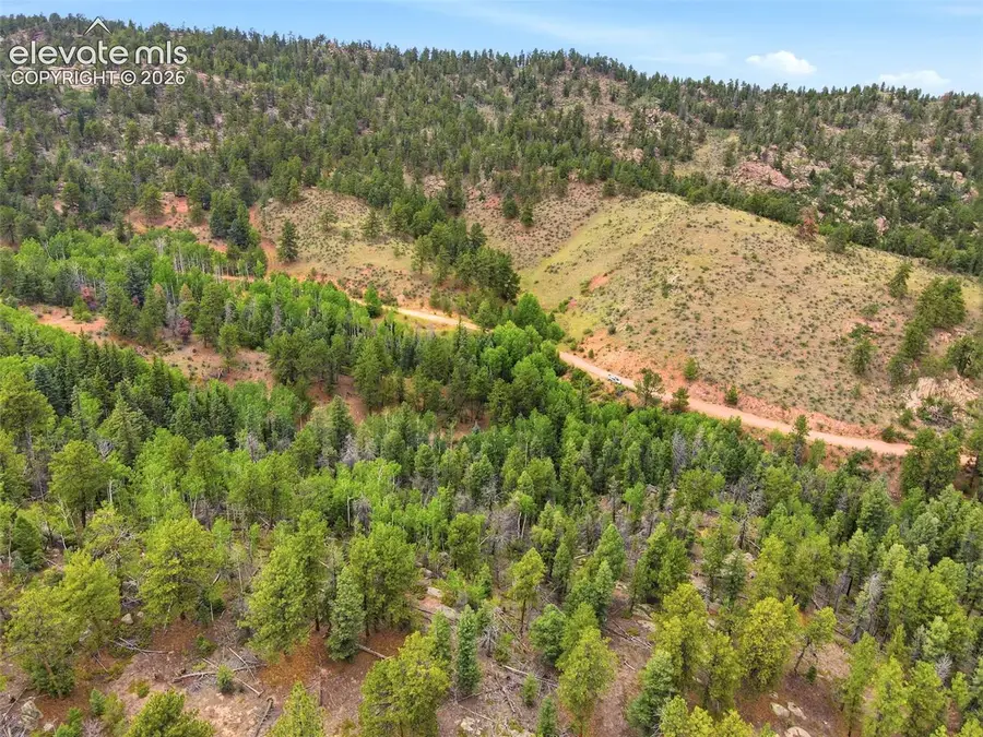 1310 Park Ridge Drive, Guffey, CO 80820 - #2