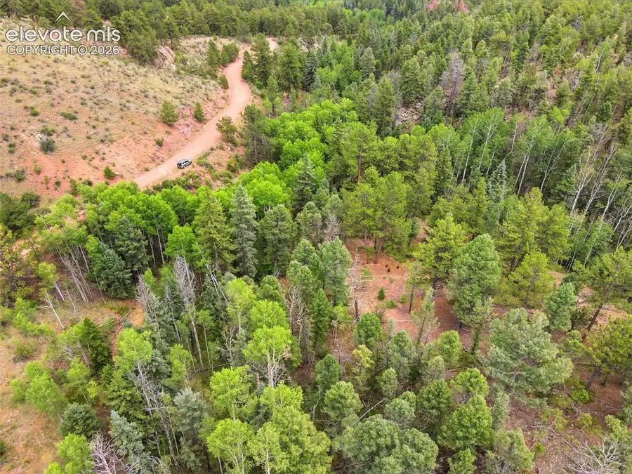 1310 Park Ridge Drive, Guffey, CO 80820 - #3