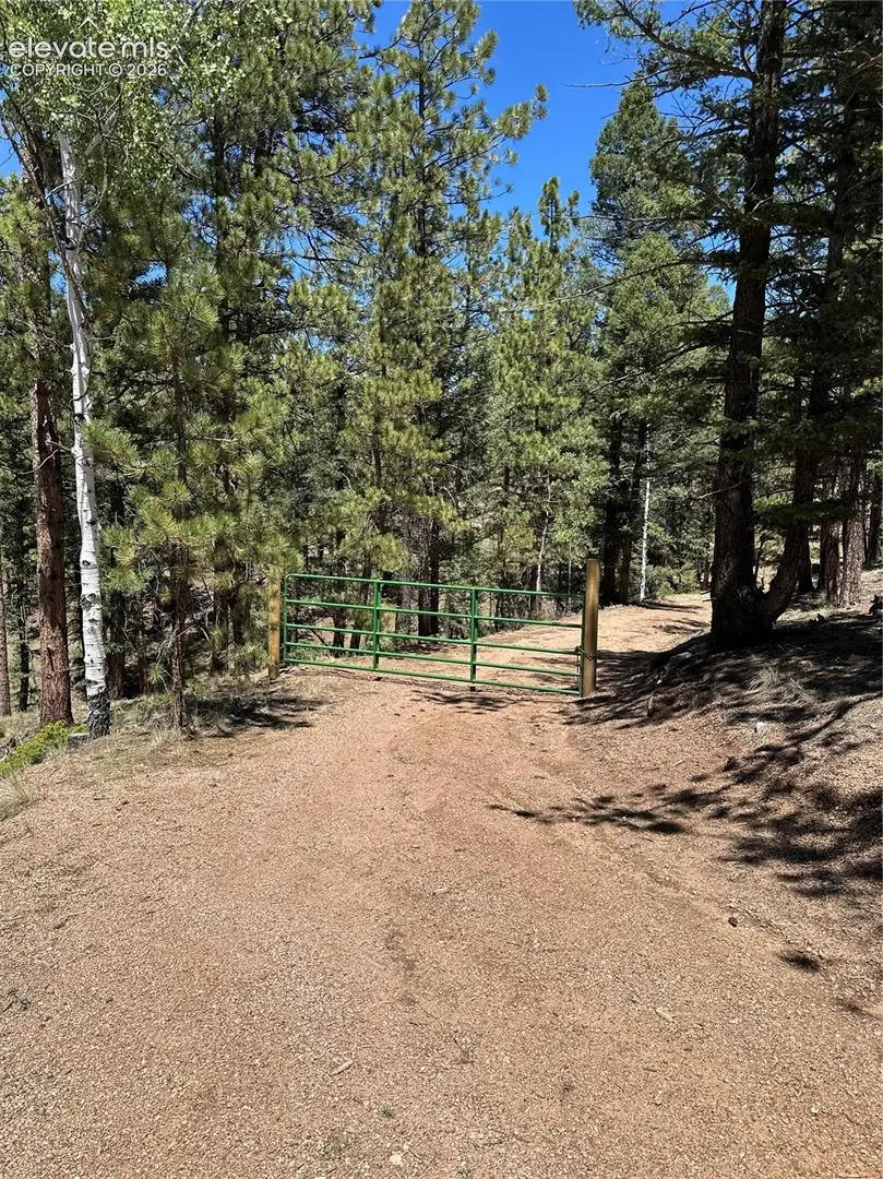 305 & 281 Midnight Lane, Florissant, CO 80816 - #1