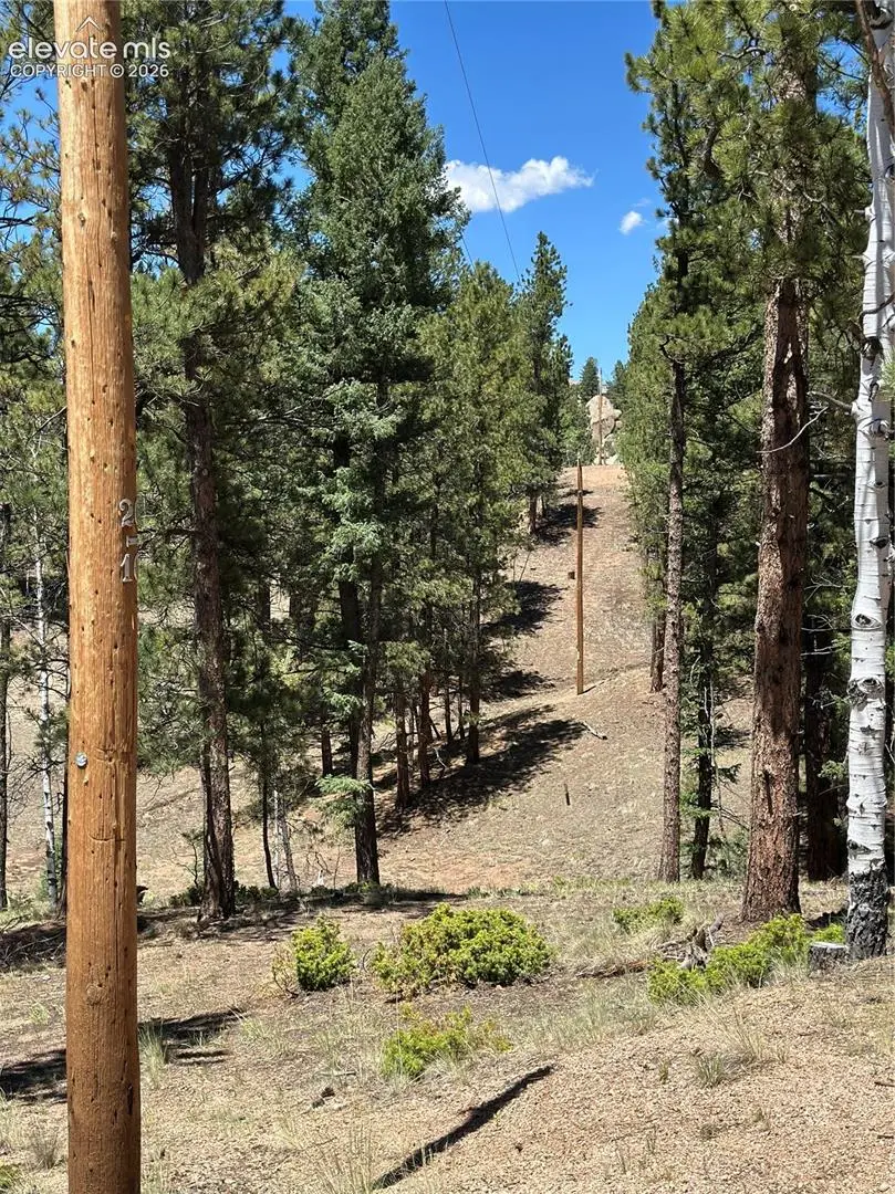 305 & 281 Midnight Lane, Florissant, CO 80816 - #2