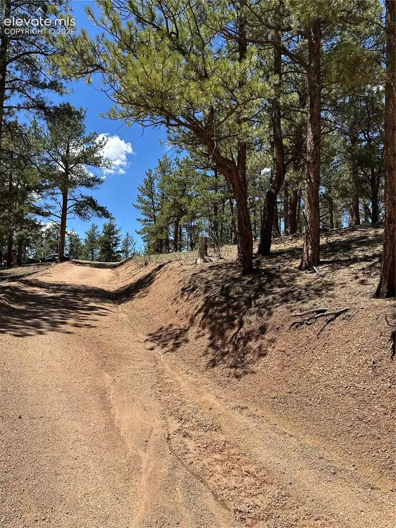 305 & 281 Midnight Lane, Florissant, CO 80816 - #3