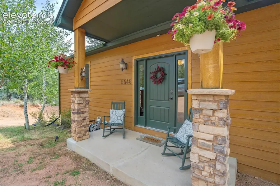 5545 Scout Ridge Trail, Cascade, CO 80809 - #3