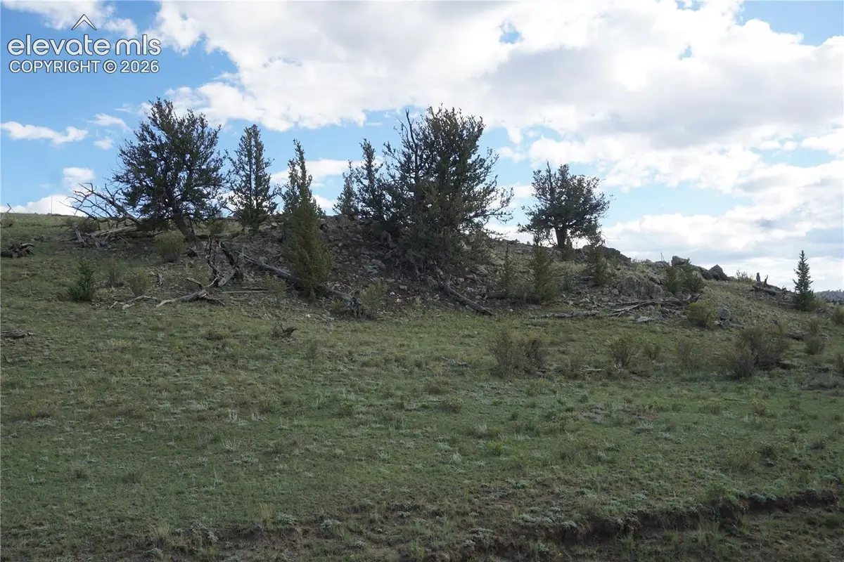 1022 Walls Street, Hartsel, CO 80449 - #1