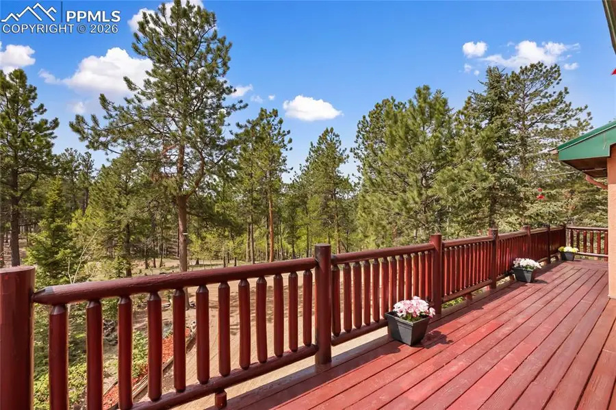 381 Saddleback Creek Drive, Florissant, CO 80816 - Image #3