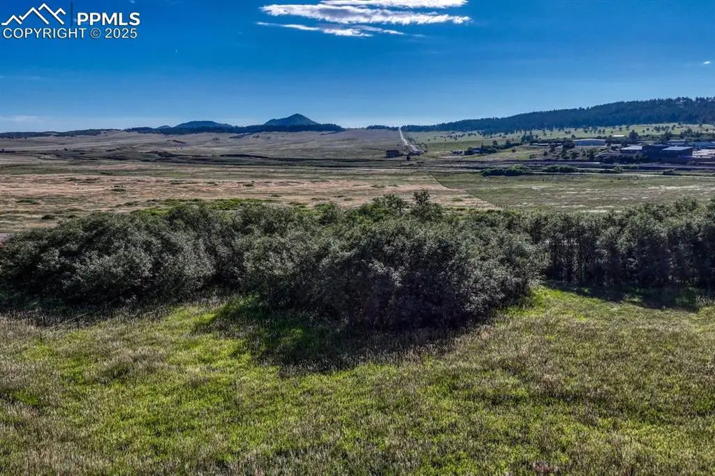15989 S Perry Park Road, Larkspur, CO 80118 - #1
