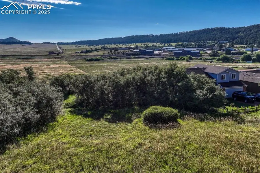 15989 S Perry Park Road, Larkspur, CO 80118 - #2