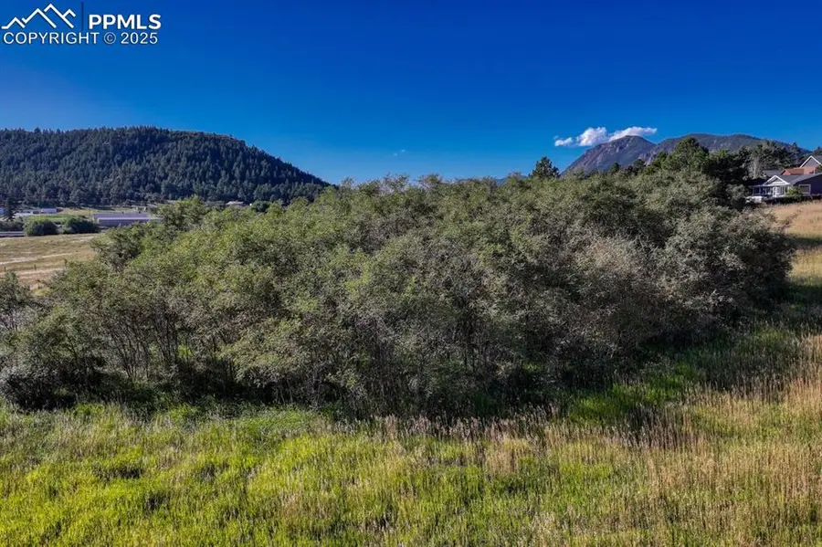 15989 S Perry Park Road, Larkspur, CO 80118 - #3