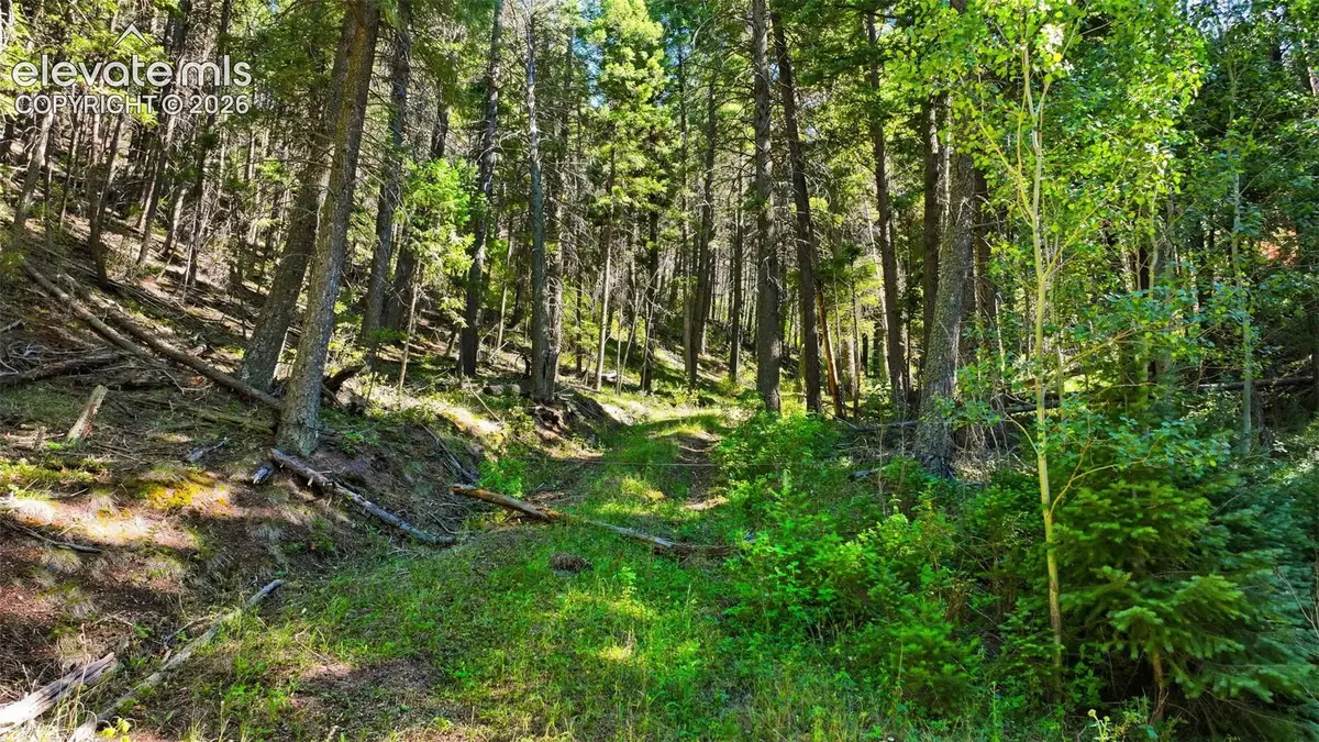 13446 S Firedog Way, Larkspur, CO 80118 - #1