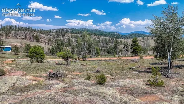 617 Chateau Vista, Florissant, CO 80816