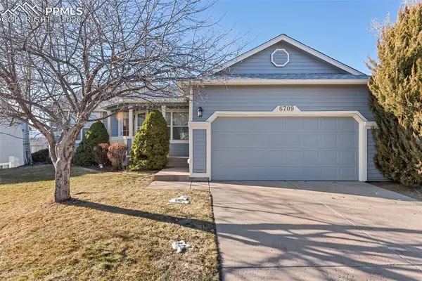 6709 Showhorse Court, Colorado Springs, CO 80922