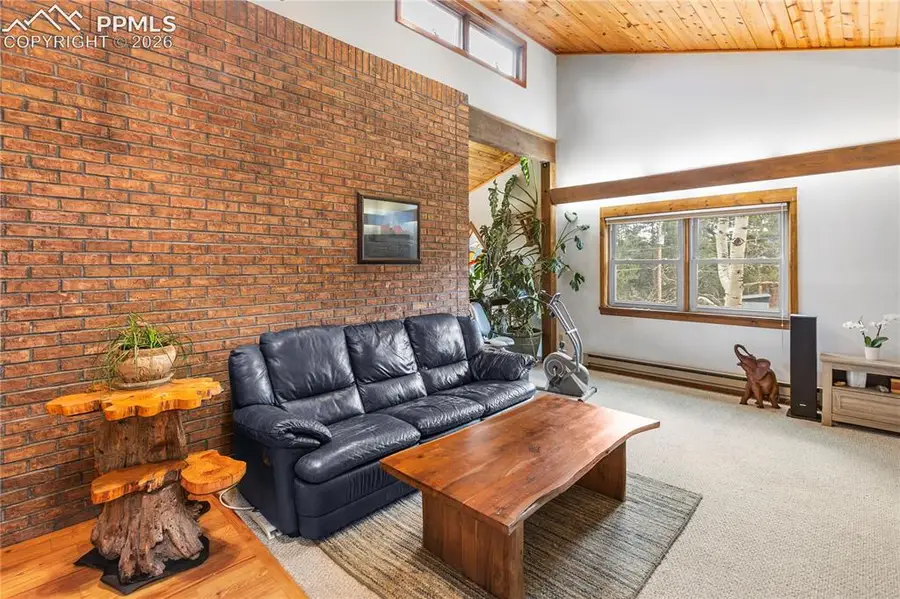 36 Illini Drive, Woodland Park, CO 80863 - #3