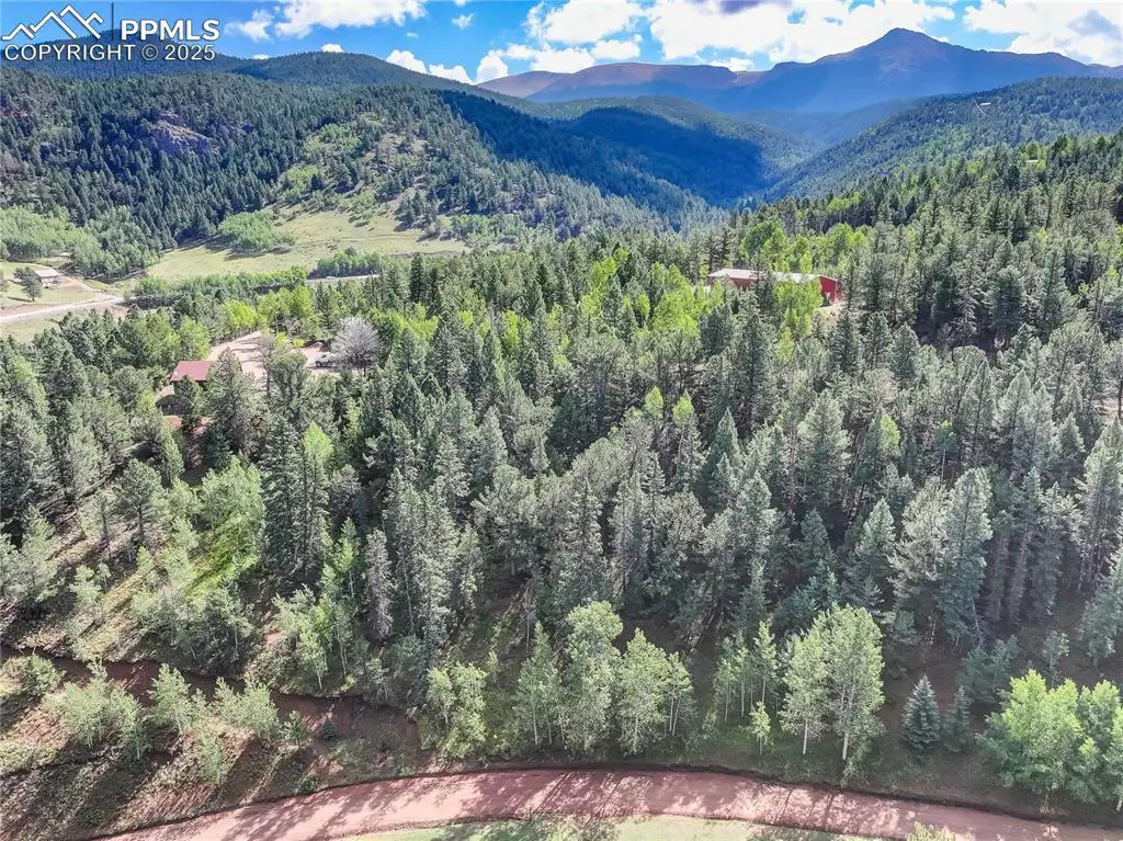 490 Willow Road, Divide, CO 80814 - #1