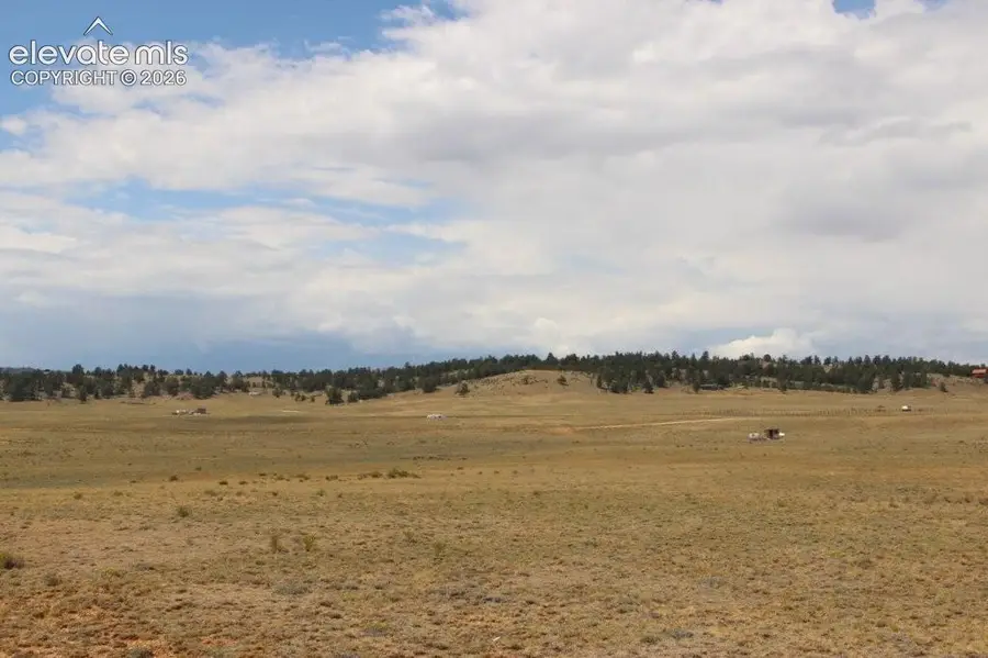 389 Chipita Trail, Hartsel, CO 80449 - #3