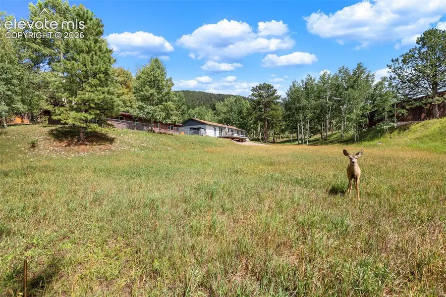 1035 Park View Road, Woodland Park, CO 80863 - #2