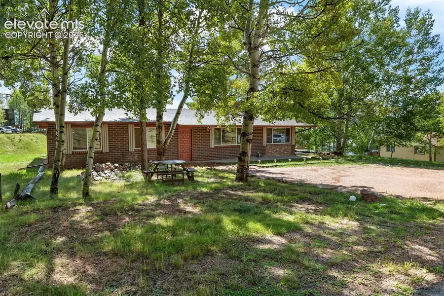 1035 Park View Road, Woodland Park, CO 80863 - #3