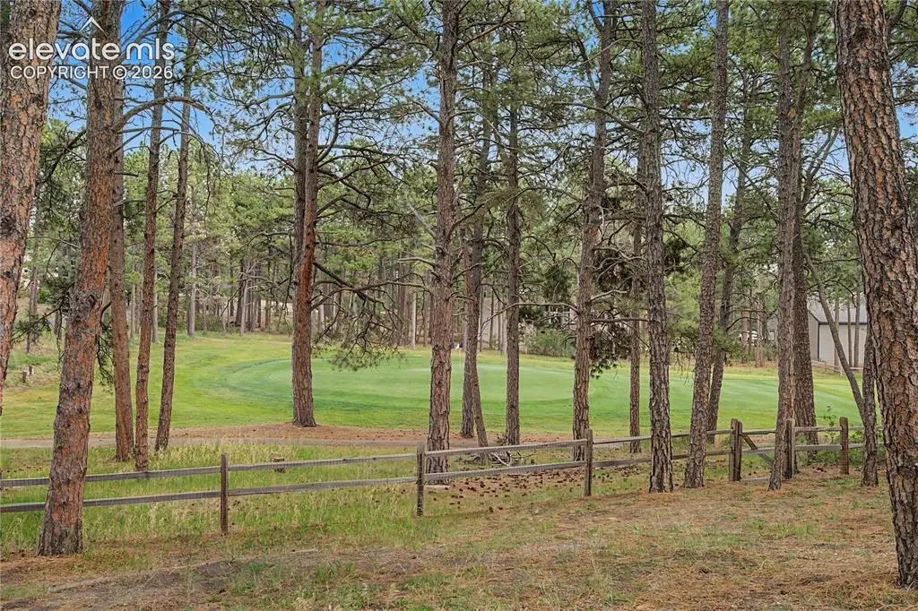 18675 St Andrews Drive, Monument, CO 80132 - #1
