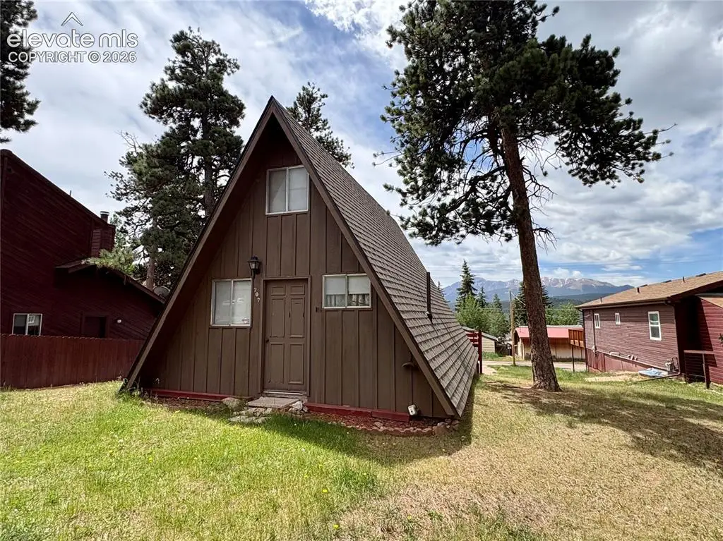 207 E Lake Avenue, Woodland Park, CO 80863 - #1