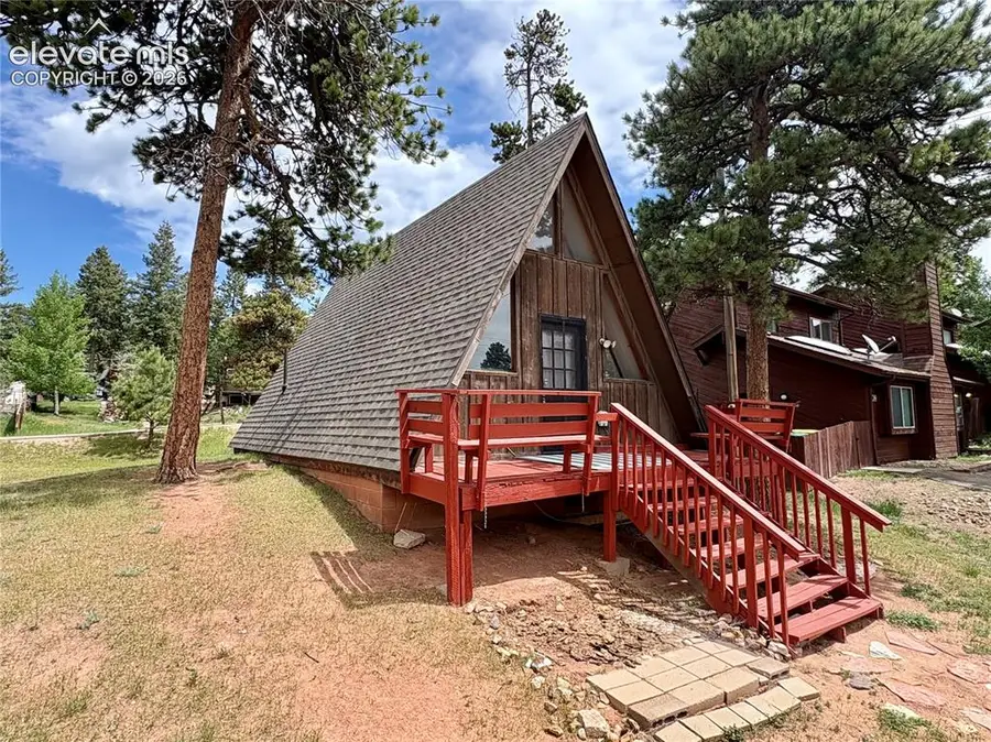 207 E Lake Avenue, Woodland Park, CO 80863 - #3