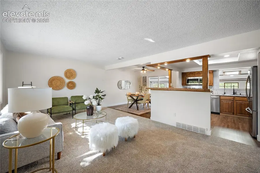 310 Cielo Vista Street, Colorado Springs, CO 80911 - #2