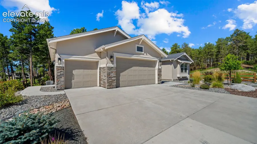 16298 Forest Cloud Way, Monument, CO 80132 - #3
