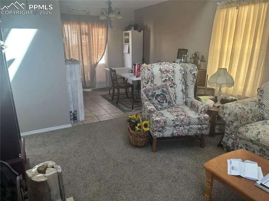 245 Pointer Place, Colorado Springs, CO 80911 - #3